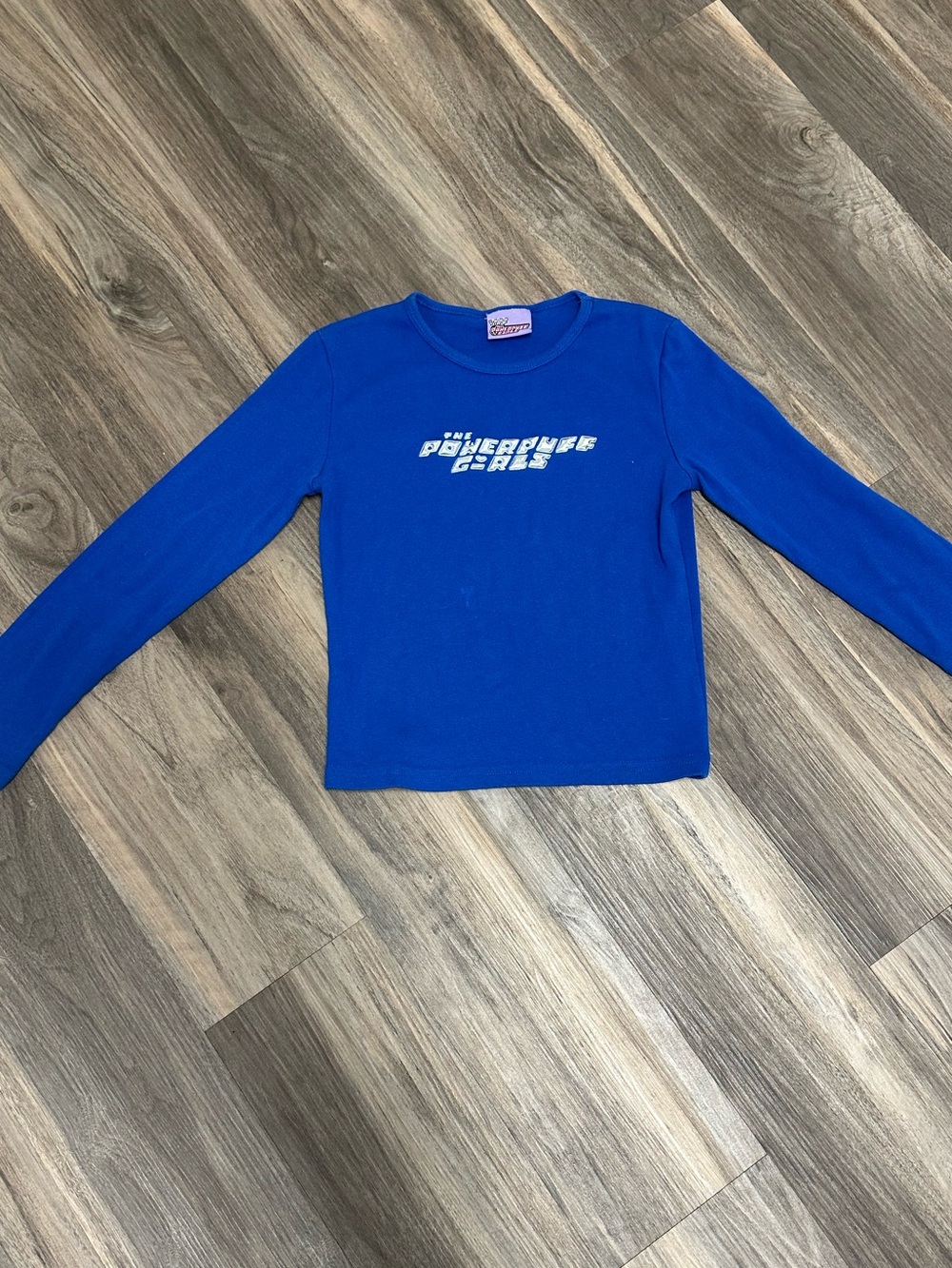 Y2K 2000 The Powerpuff Girls Blue Long Sleeve Shirt